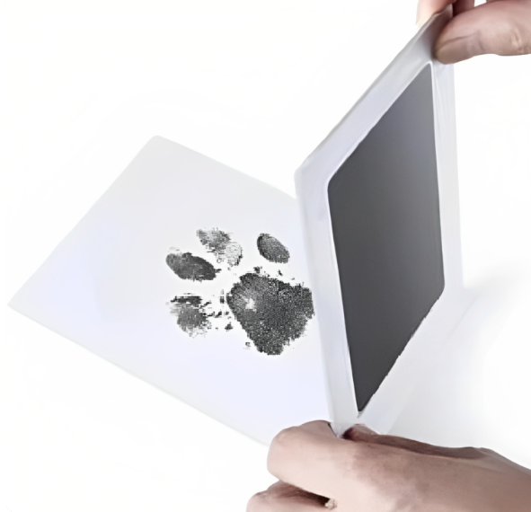 Print your Dogs Pawprint – DogzDirect